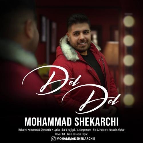   محمد شکارچی