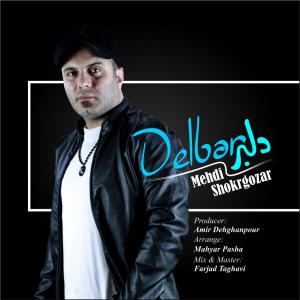   مهدی شکرگزار