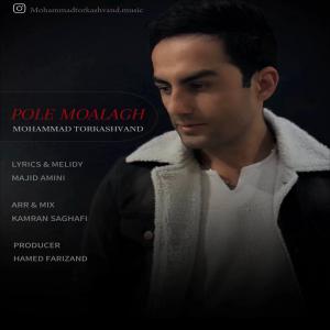   محمد ترکاشوند