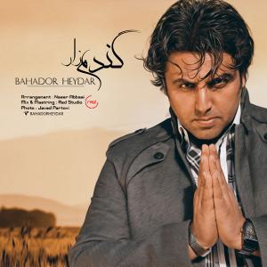   بهادر حیدر