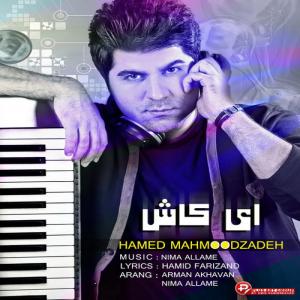   حامد محمودزاده