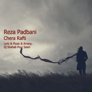   رضا پاد بانی