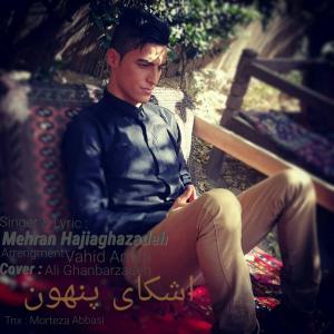   مهران حاجی زاده