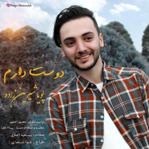   پویا شیرین زاده