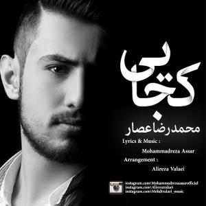   محمد رضا عصار