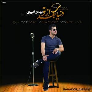   بهادر امیری