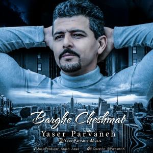   یاسر پروانه