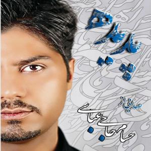   حسام حاجی عباسی