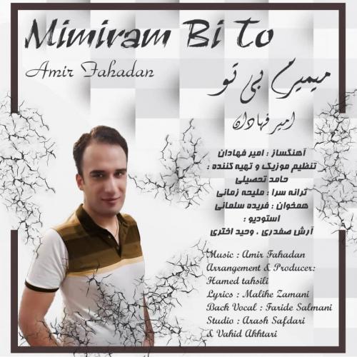   امیر فهادان