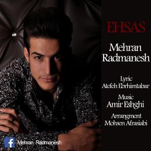   مهران رادمنش