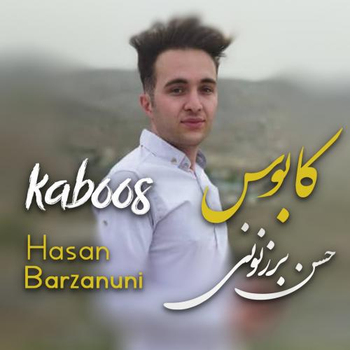   حسن برزنونی