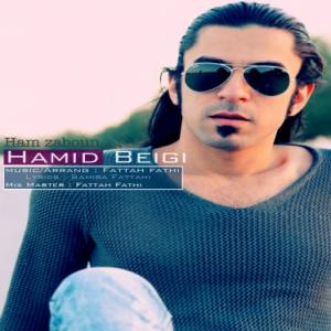   حمید بیگی