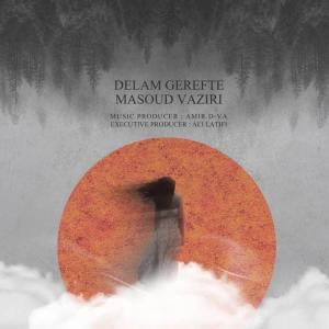   مسعود وزیری