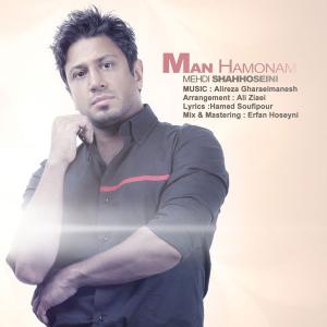   مهدی شاه حسینی