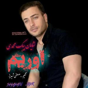   شایان بیگ محمدی