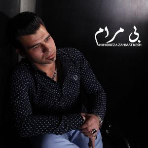   وحیدرضا زحمتکش