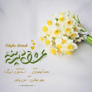   محمد کوهرخی