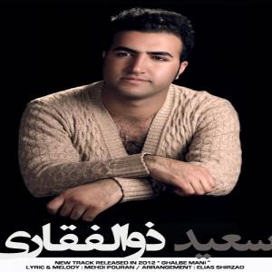   سعید ذولفقاری