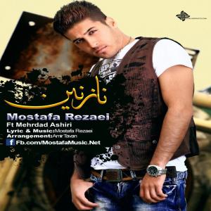   مصطفی رضایی