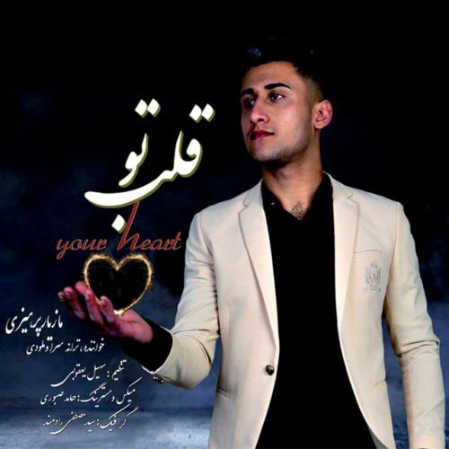   مازیار پرهیزی