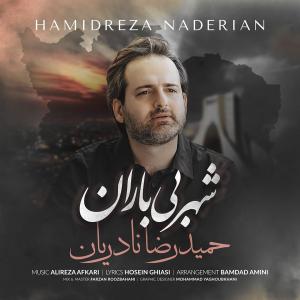   حمیدرضا نادریان