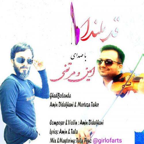   امین دیده خانی و مرتضی طاهر