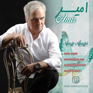   امیر امیری