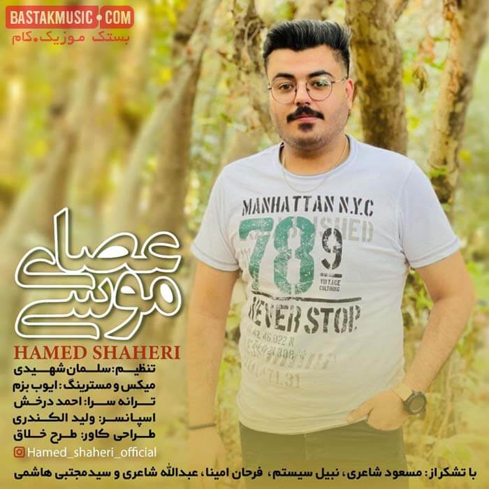 حامد شاعری