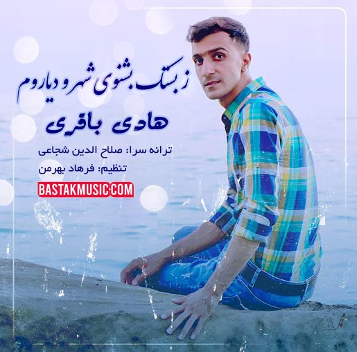هادی باقری