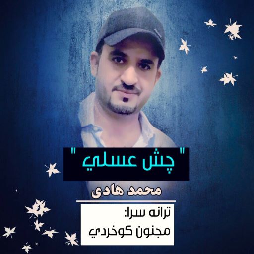 محمد هادی