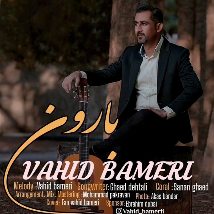 وحید بامری