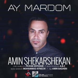   امین شکرشکن