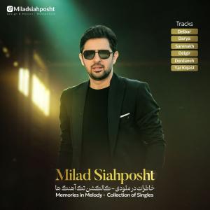   میلاد سیاه پشت