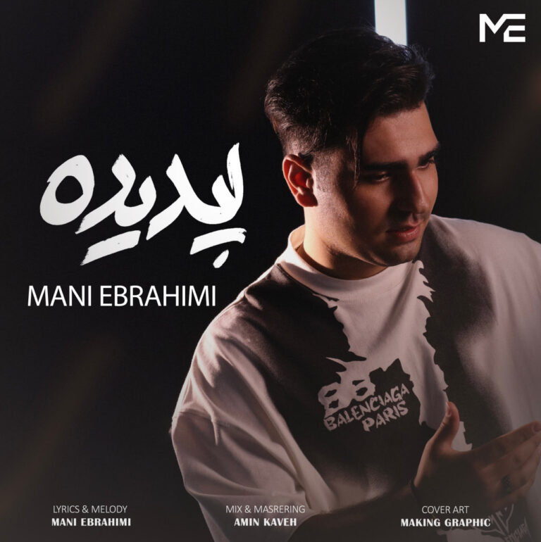 مانی ابراهیمی