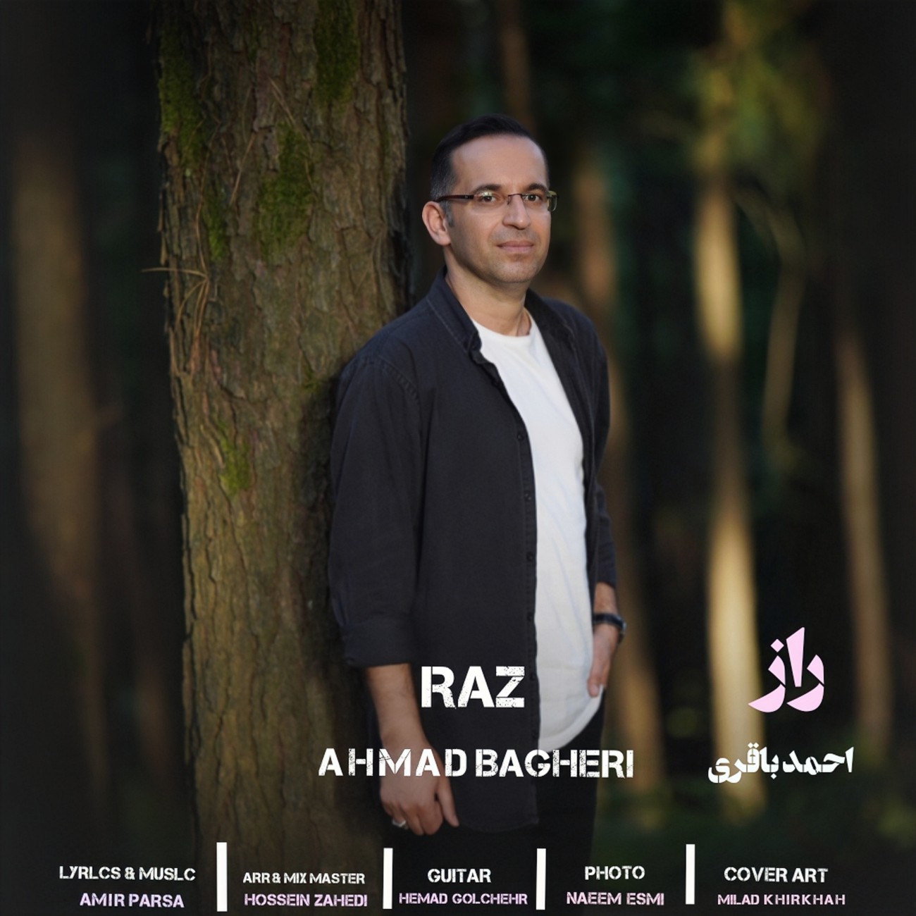 احمد باقری