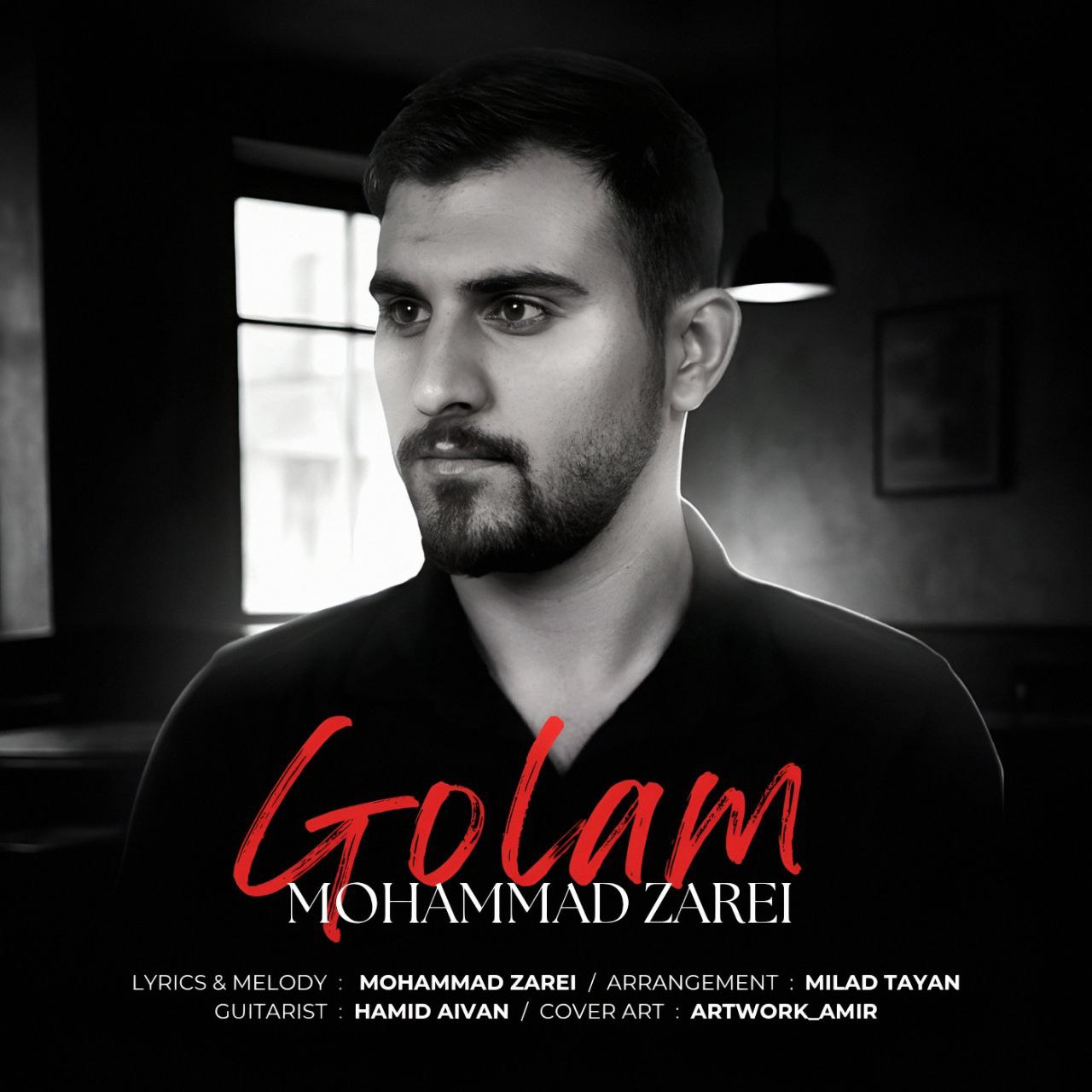 محمد زارعی