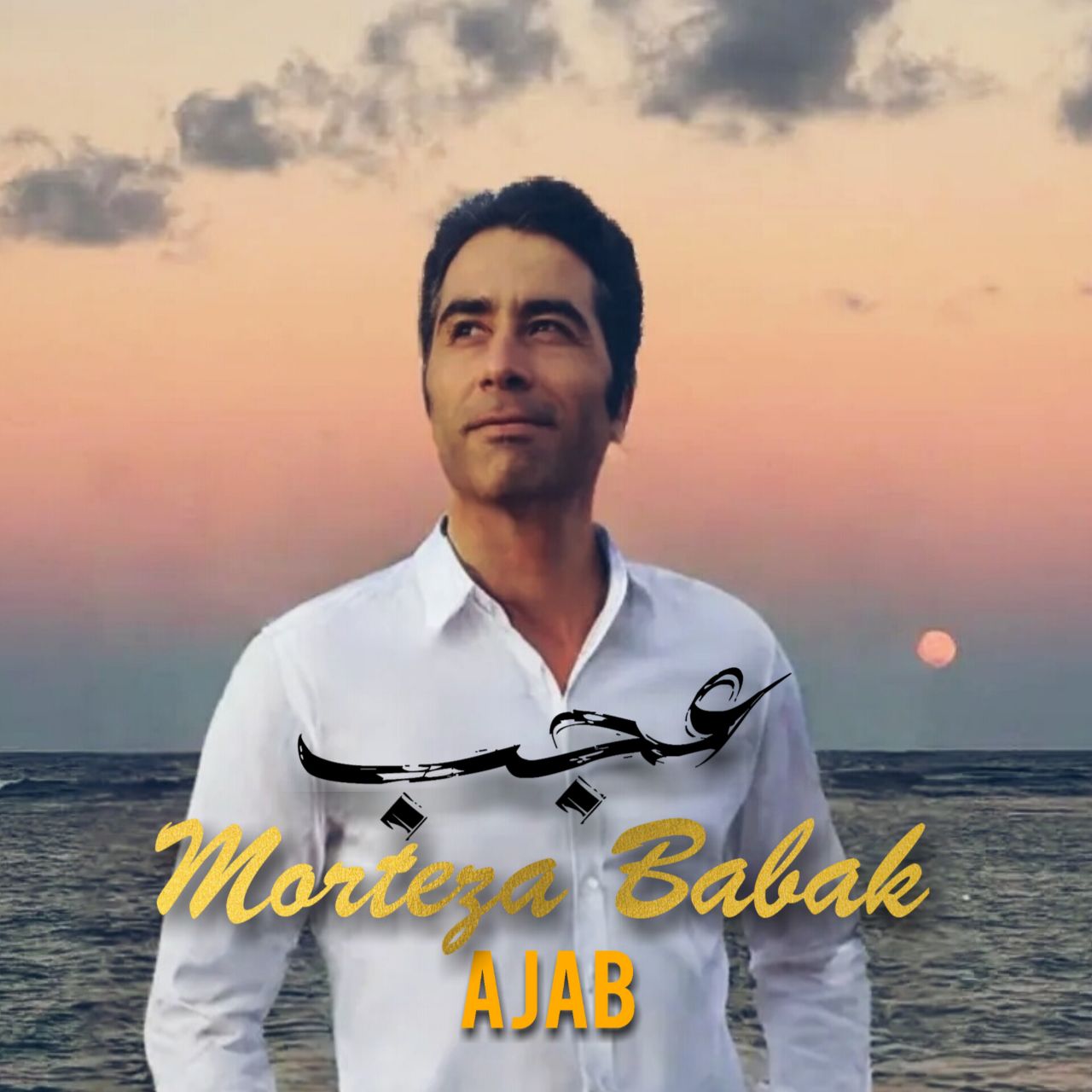 مرتضی بابک