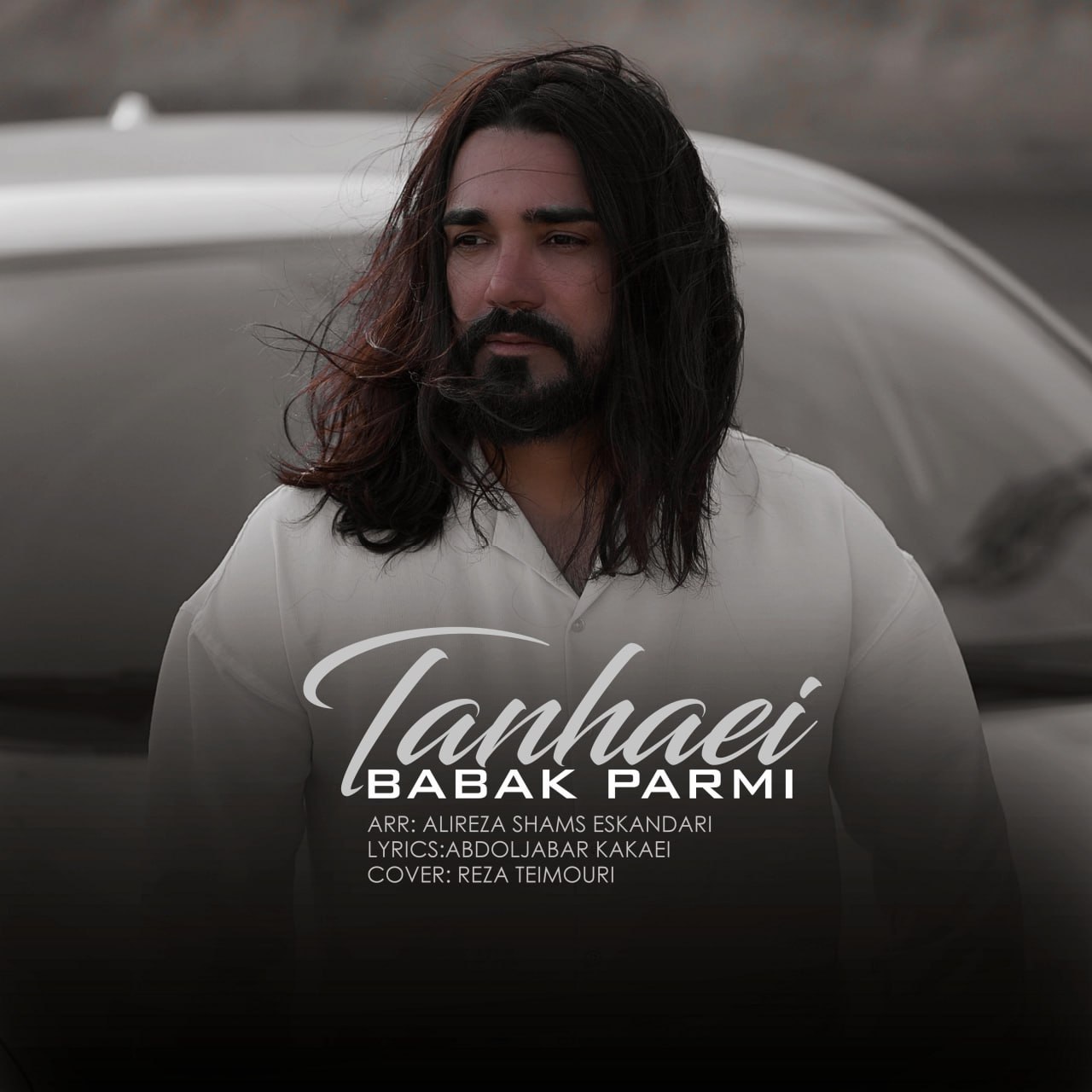 بابک پرمی