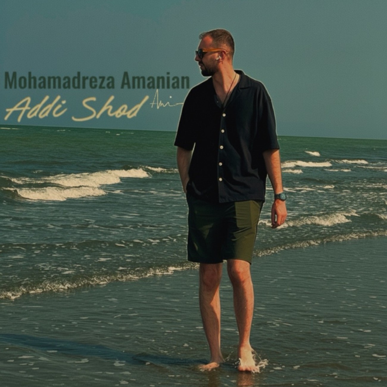 محمدرضا امانیان