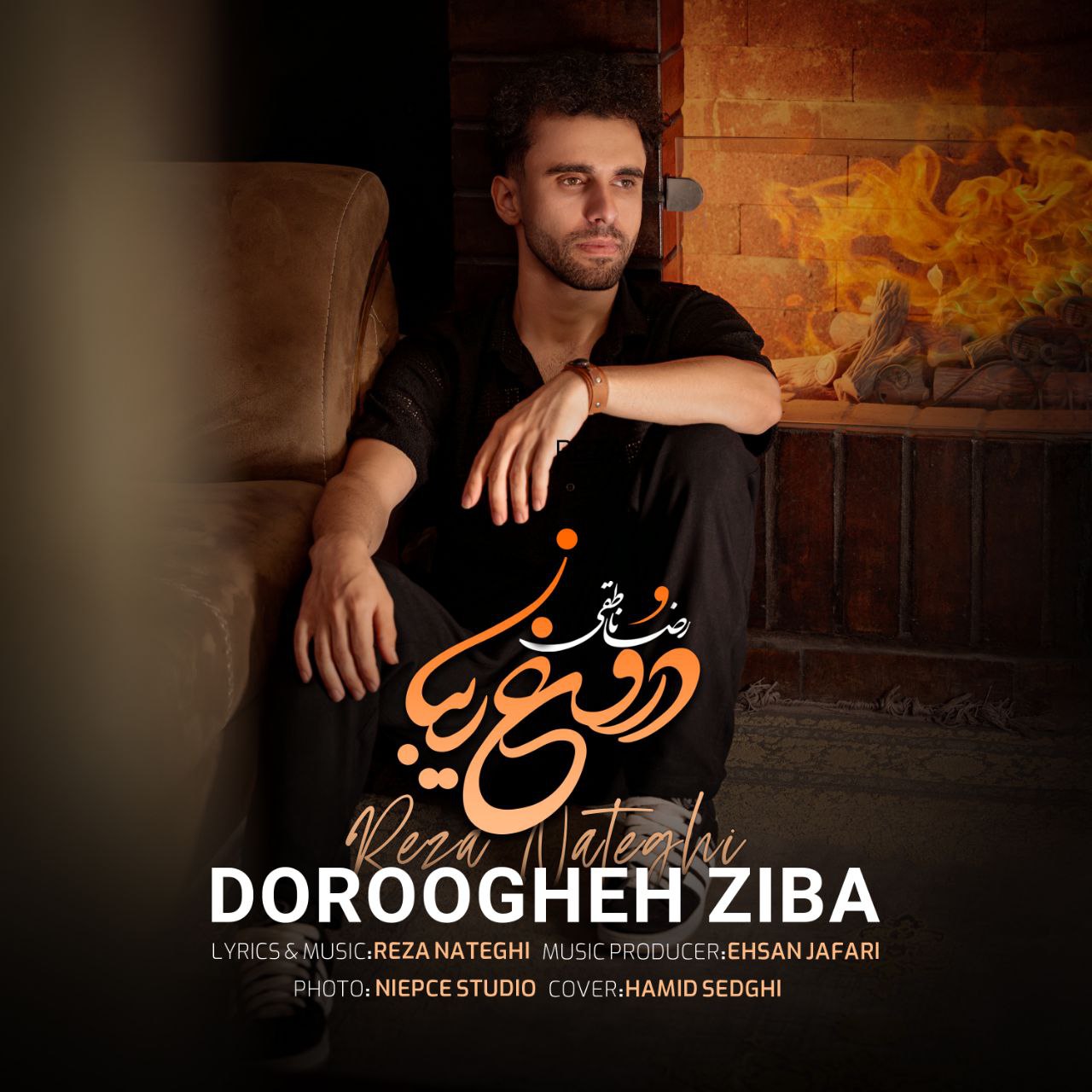 رضا ناطقی