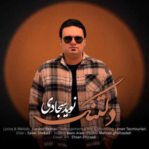 نوید سجادی
