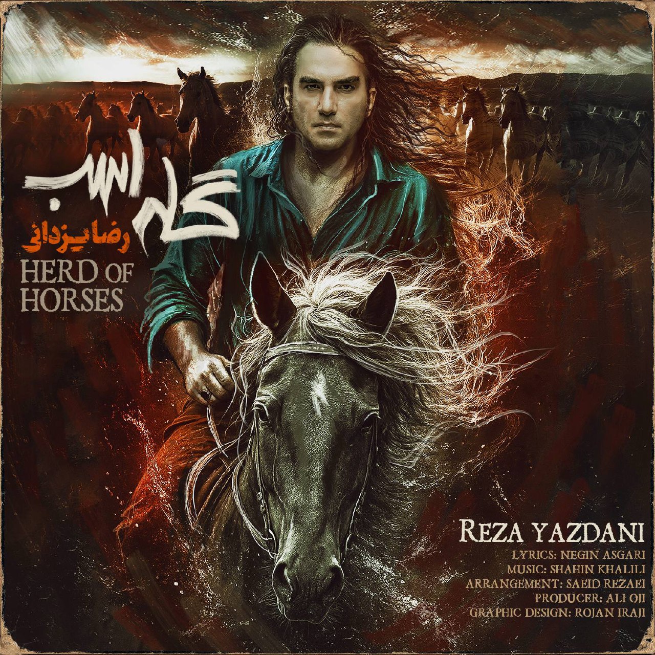 رضا یزدانی