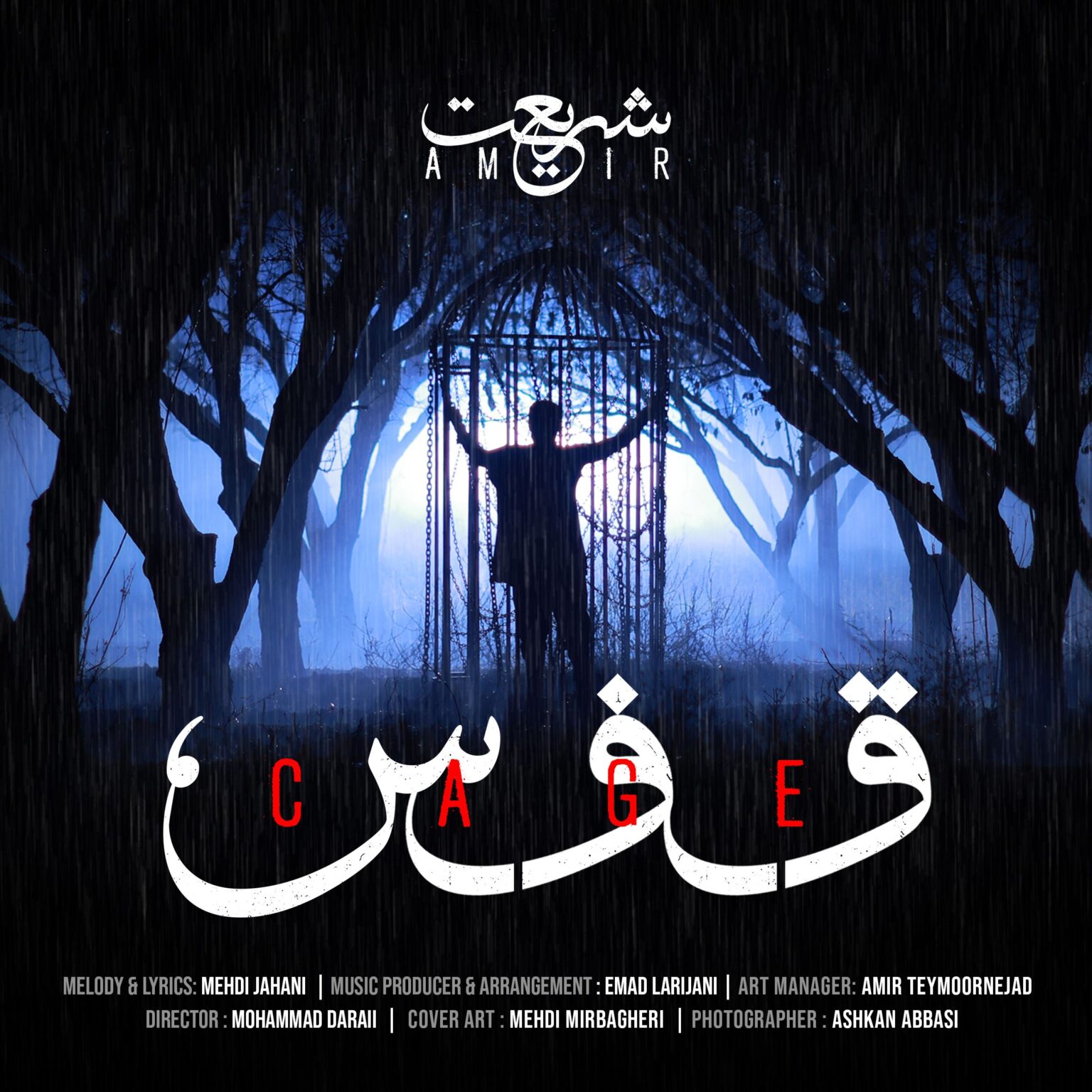 امیر شریعت