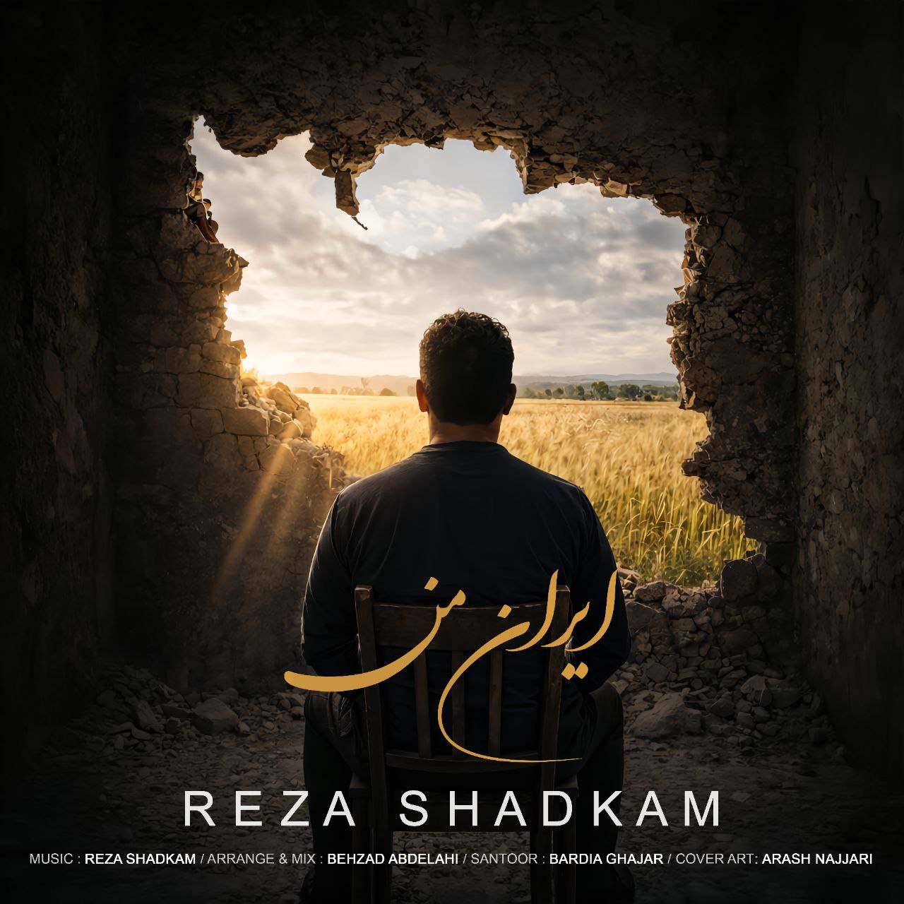 رضا شادکام