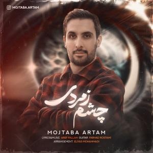 مجتبی آرتام