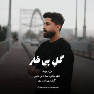 علی شیخ زاده