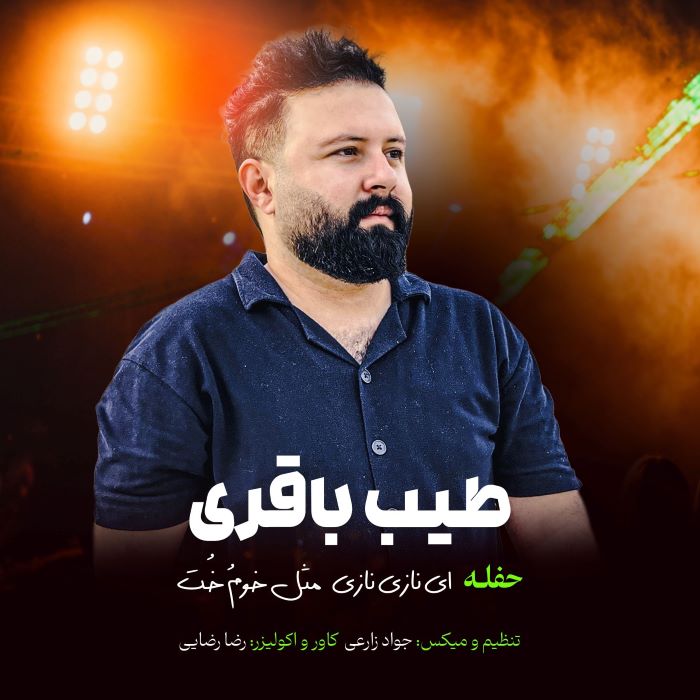 طیب باقری