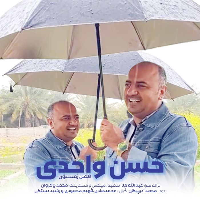 حسن واحدی