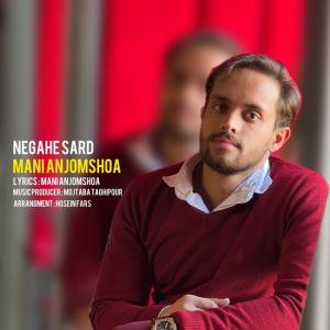 مانی انجم شعاع