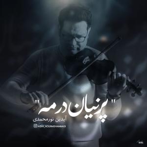 آیدین نورمحمدی